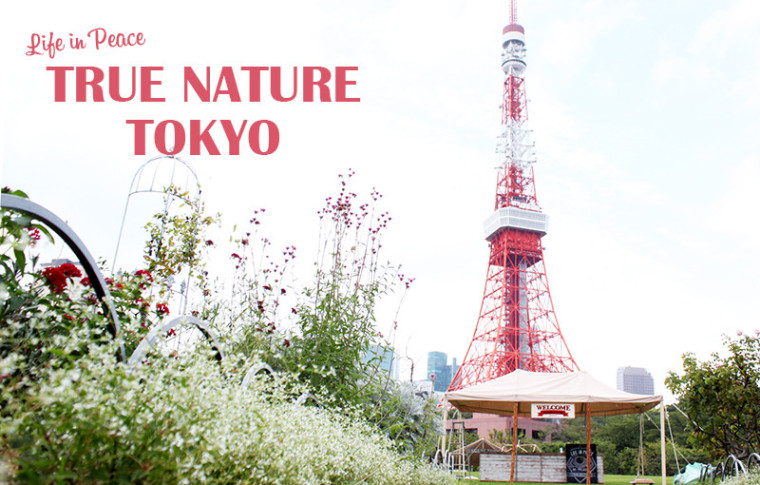 True Nature in Tokyo